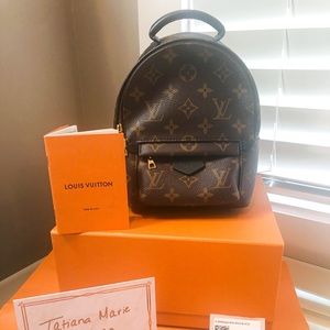 Louis Vuitton Palm Springs Mini